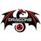 Dragon Team Volleyball Club