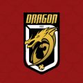 Dragon Team Volleyball Club